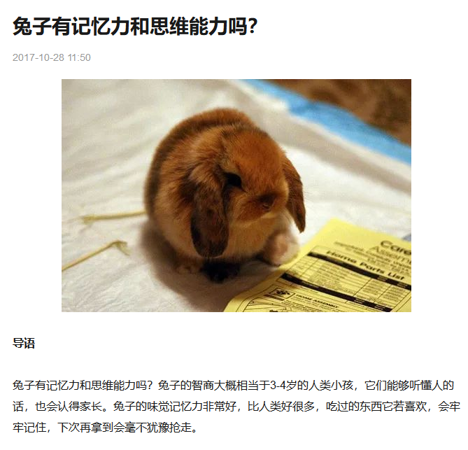 好书要读n多遍强大的兔子精读报告